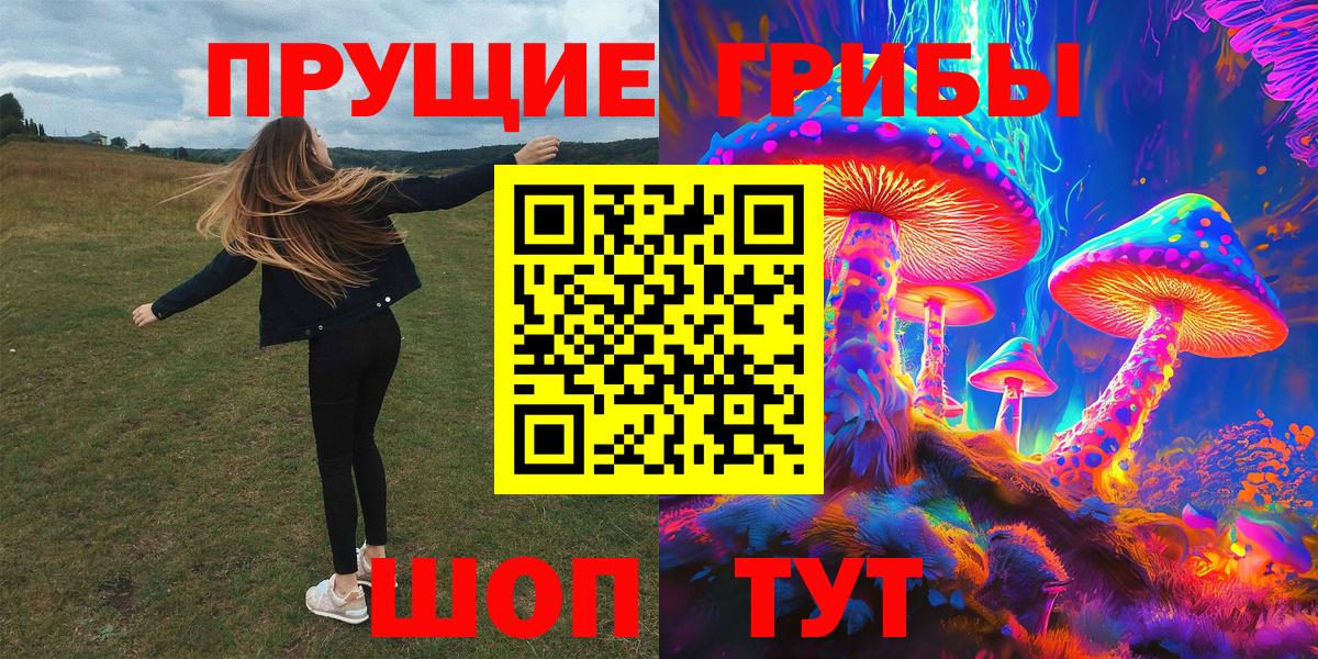 где купить   Псилоцибиновые грибы Magic Shrooms  Вход с VPN  Кириши 